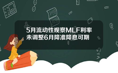 5月流动性观察MLF利率未调整6月降准降息可期