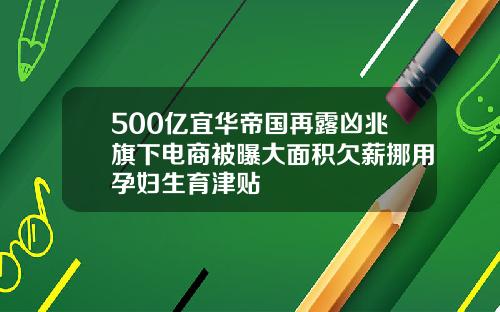 500亿宜华帝国再露凶兆旗下电商被曝大面积欠薪挪用孕妇生育津贴