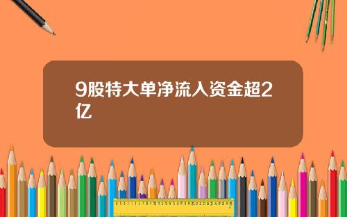 9股特大单净流入资金超2亿