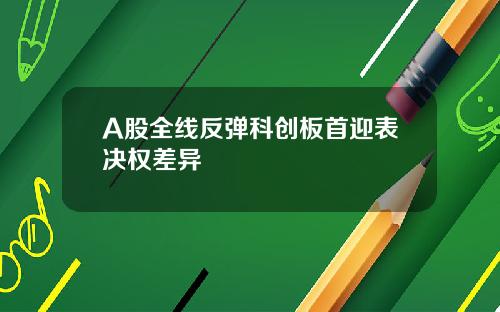 A股全线反弹科创板首迎表决权差异