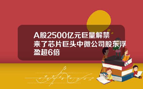 A股2500亿元巨量解禁来了芯片巨头中微公司股东浮盈超6倍