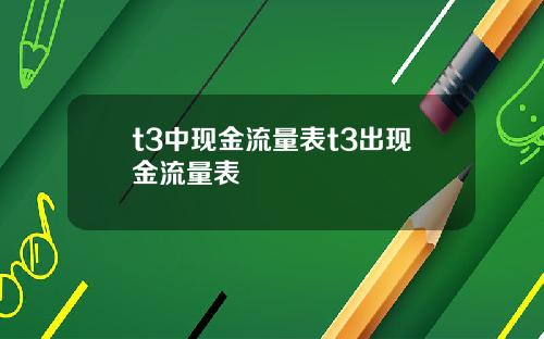 t3中现金流量表t3出现金流量表