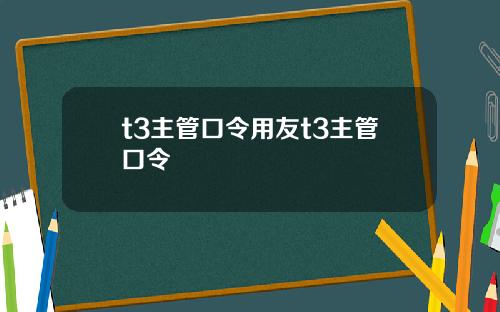 t3主管口令用友t3主管口令