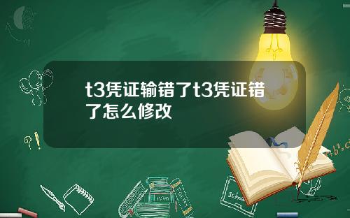 t3凭证输错了t3凭证错了怎么修改