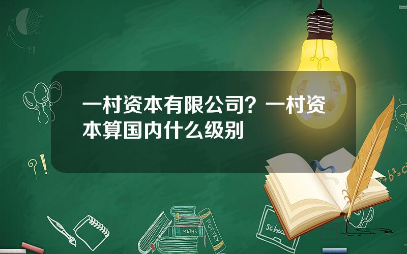 一村资本有限公司？一村资本算国内什么级别