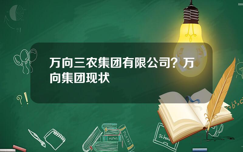 万向三农集团有限公司？万向集团现状