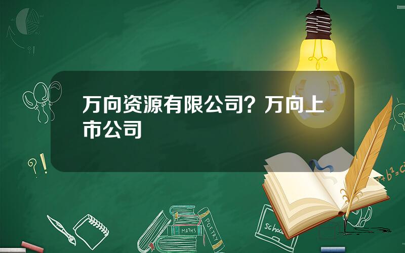 万向资源有限公司？万向上市公司