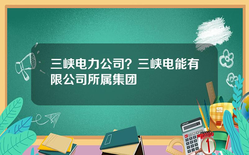 三峡电力公司？三峡电能有限公司所属集团