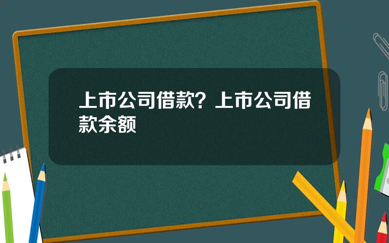 上市公司借款？上市公司借款余额