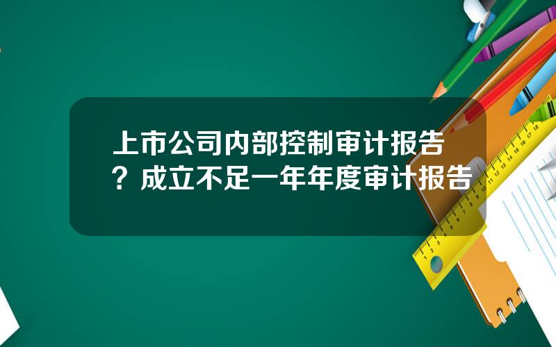 上市公司内部控制审计报告？成立不足一年年度审计报告