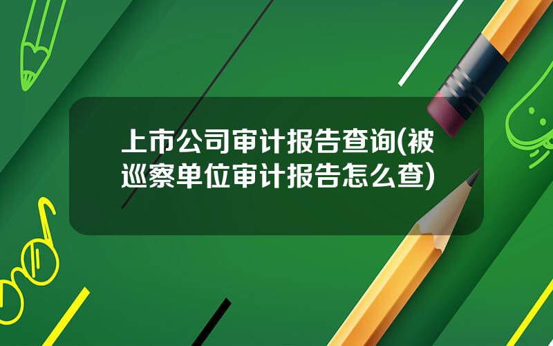 上市公司审计报告查询(被巡察单位审计报告怎么查)