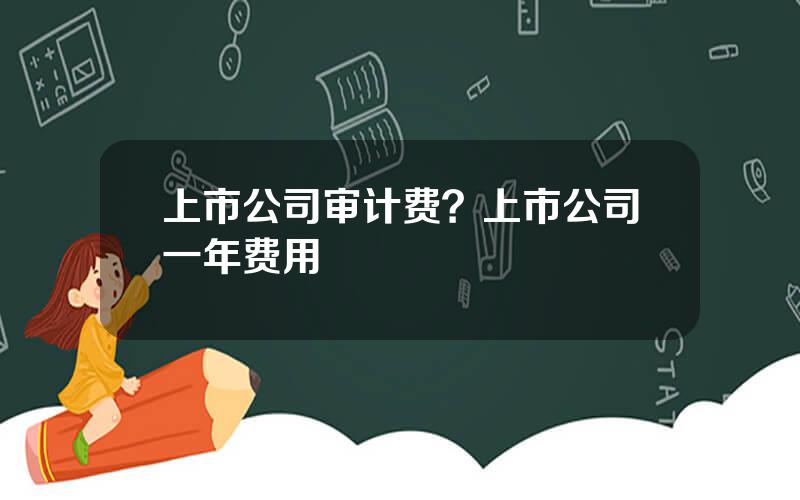 上市公司审计费？上市公司一年费用