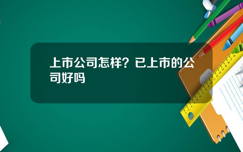 上市公司怎样？已上市的公司好吗