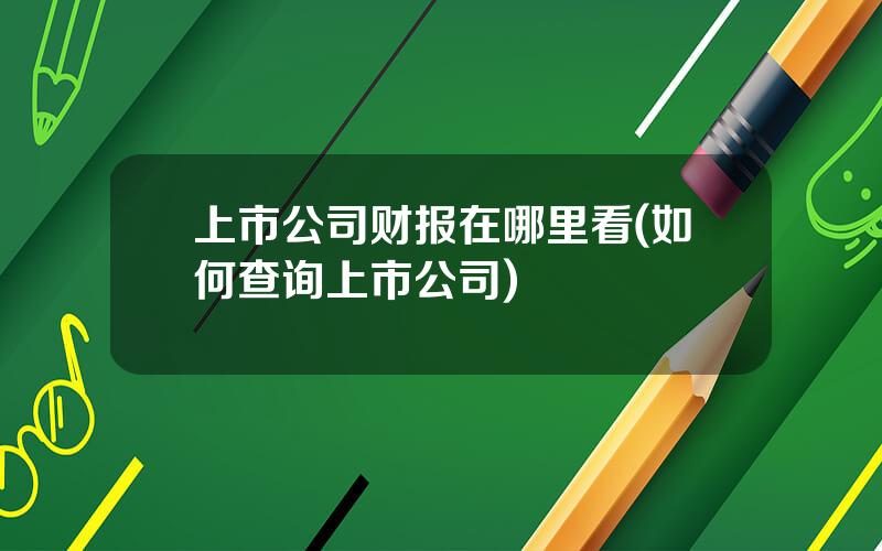 上市公司财报在哪里看(如何查询上市公司)