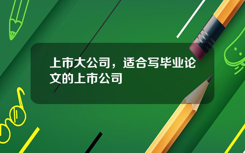 上市大公司，适合写毕业论文的上市公司