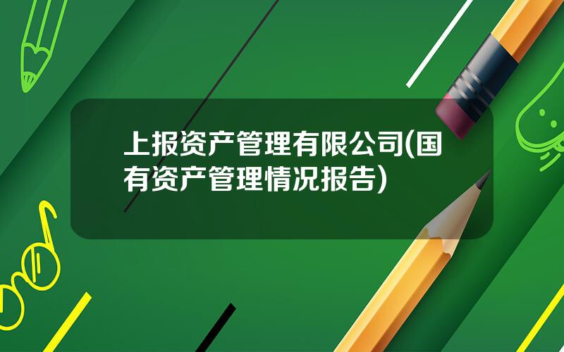 上报资产管理有限公司(国有资产管理情况报告)