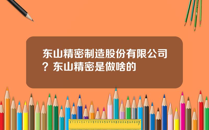 东山精密制造股份有限公司？东山精密是做啥的