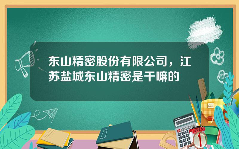 东山精密股份有限公司，江苏盐城东山精密是干嘛的