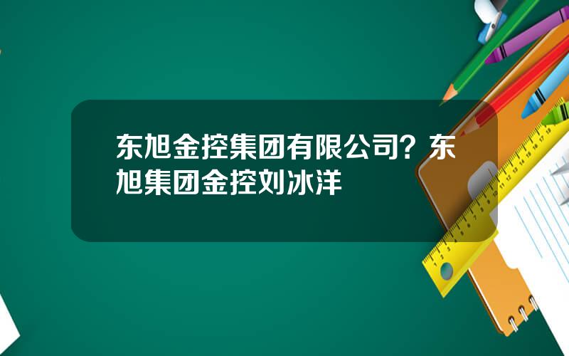 东旭金控集团有限公司？东旭集团金控刘冰洋