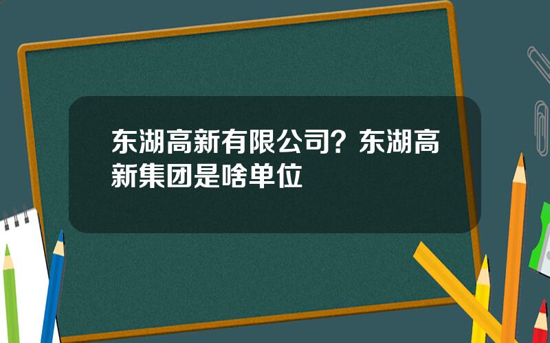 东湖高新有限公司？东湖高新集团是啥单位