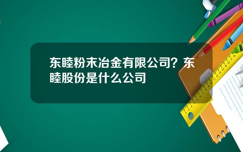 东睦粉末冶金有限公司？东睦股份是什么公司