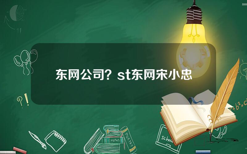 东网公司？st东网宋小忠