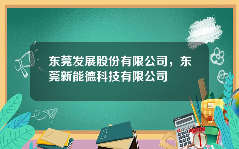 东莞发展股份有限公司，东莞新能德科技有限公司