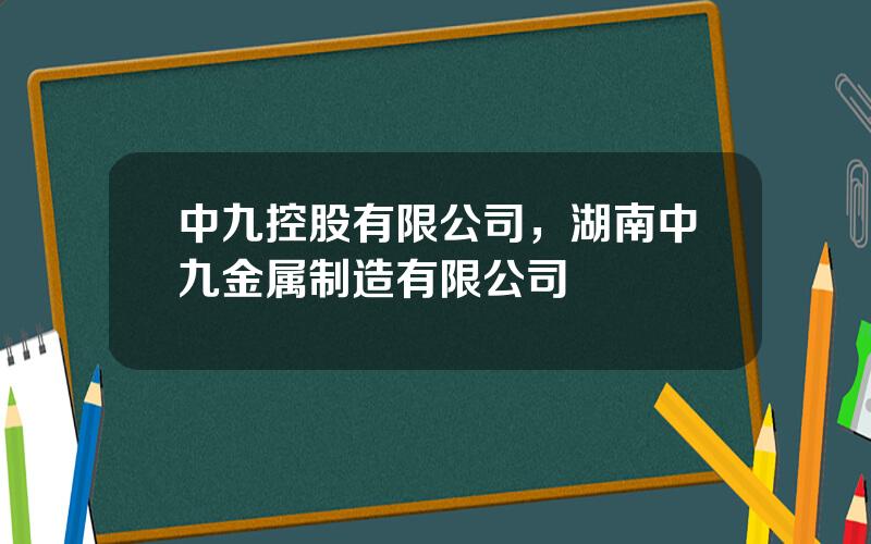 中九控股有限公司，湖南中九金属制造有限公司