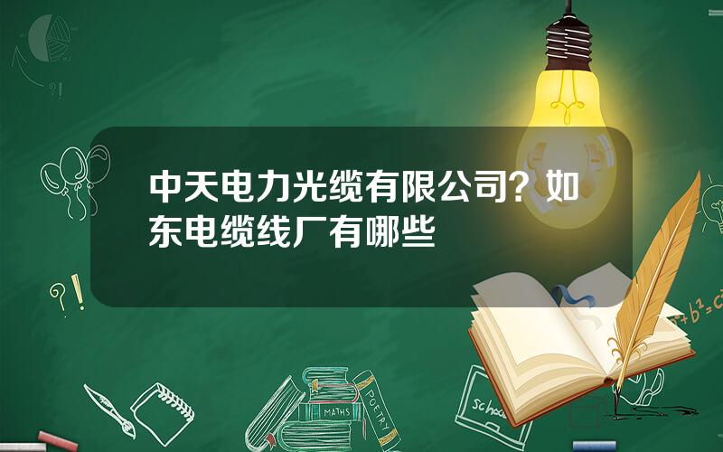 中天电力光缆有限公司？如东电缆线厂有哪些