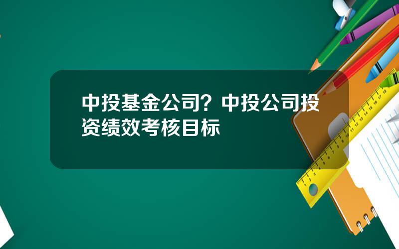 中投基金公司？中投公司投资绩效考核目标