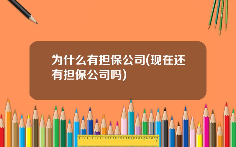 为什么有担保公司(现在还有担保公司吗)