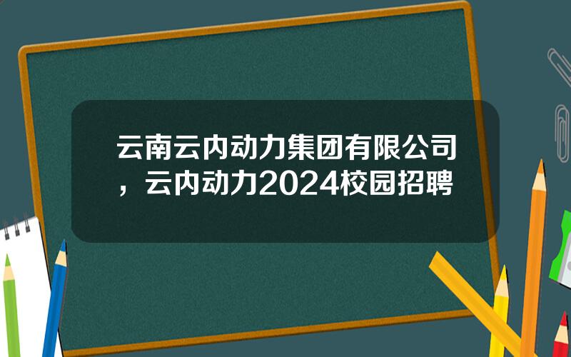 云南云内动力集团有限公司，云内动力2024校园招聘