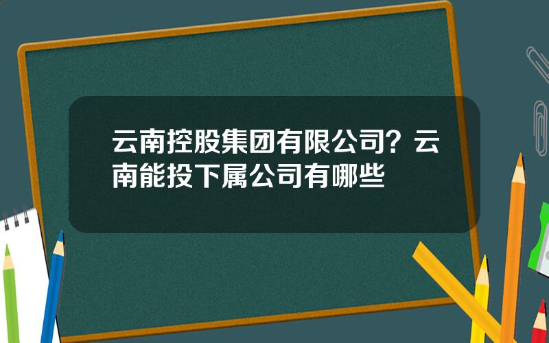 云南控股集团有限公司？云南能投下属公司有哪些