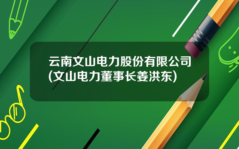 云南文山电力股份有限公司(文山电力董事长姜洪东)