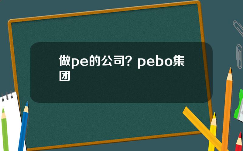 做pe的公司？pebo集团