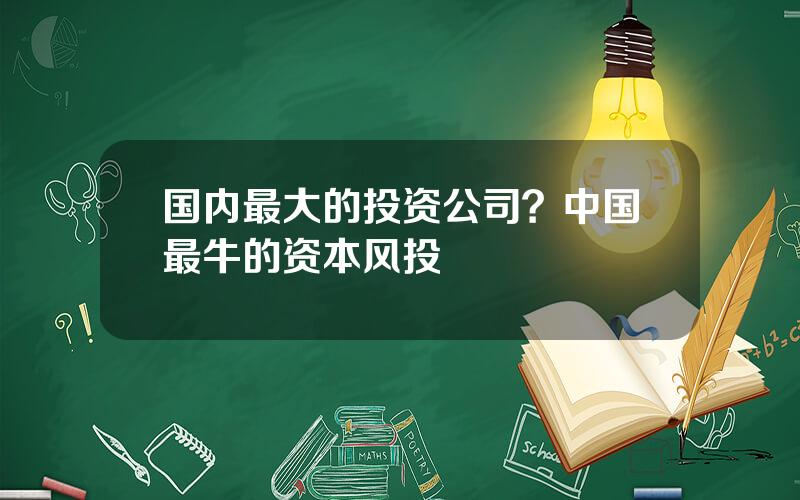 国内最大的投资公司？中国最牛的资本风投