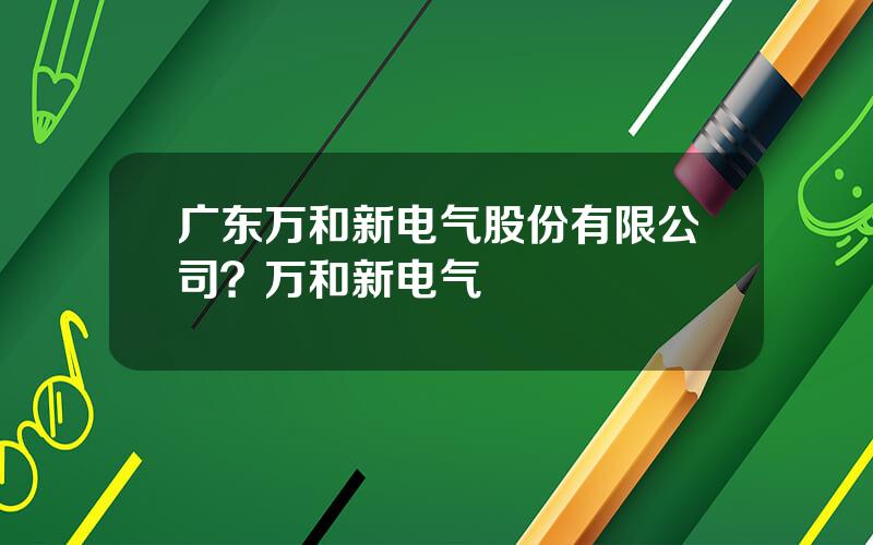 广东万和新电气股份有限公司？万和新电气