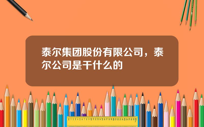 泰尔集团股份有限公司，泰尔公司是干什么的