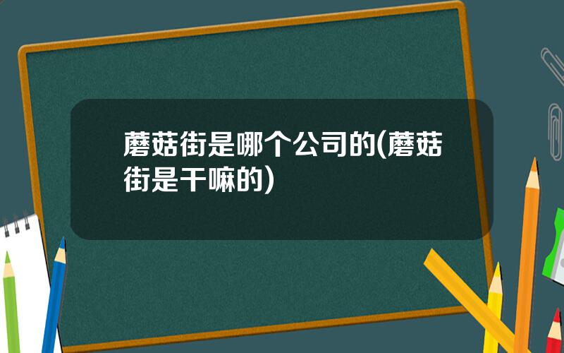 蘑菇街是哪个公司的(蘑菇街是干嘛的)